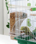 No Sweat Automatic Bird Feeder For Cage Parrot Food Dispenser With Crystal Clear Perch And Quick Load Hopper filled with seeds next to a parakeet.