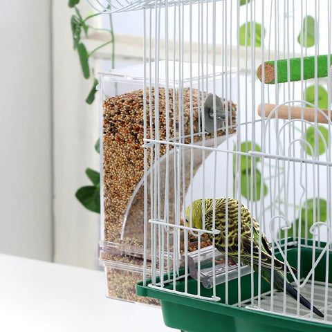 No Sweat Automatic Bird Feeder For Cage Parrot Food Dispenser With Crystal Clear Perch And Quick Load Hopper filled with seeds next to a parakeet.