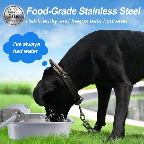 Hassle Free One Gallon Automatic Dog Water Dispenser Stainless Steel Self Filling Bowl with dog drinking water outdoors.