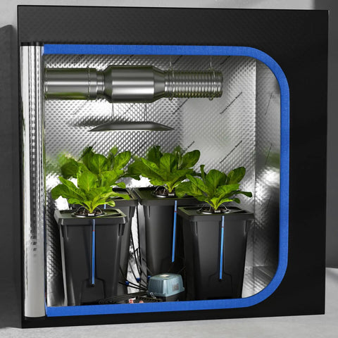 Four Buckets DWC Hydroponics Growing System With Top Drip Kit Seven Gallon Deep Water Culture Buckets in tent setup