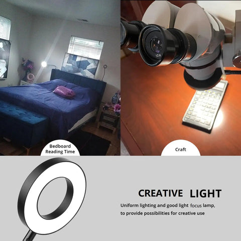 Clip On Desk Lamp With Clamp, 3 Lighting Modes And 10 Dimming Levels, Black finish on bedside and craft table setups.