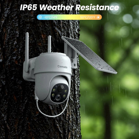 2K Wireless Outdoor Security Camera System With Solar Panel And Battery Power, mounted on tree, showing weather resistance.