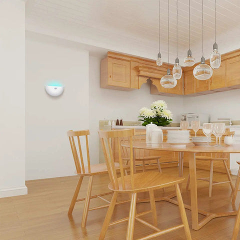 Silent Wall Sconce Fly Light Trap Kills Mosquitoes Moths And Gnats With UV Glue Boards mounted in a modern kitchen.
