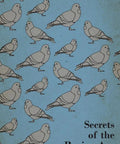 Illustrated pigeons on blue background, "Secrets of the Racing Ace." Pigeon Racing Playbook For Fast Flights And Winning Breeding Real World Feeding Tips Health Hygiene Hacks And Practical Training Tricks To Keep Your Flock Strong Consistent And On Top.