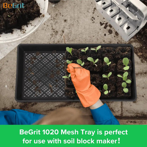 1020 Mesh Trays With Holes Mesh Bottom Seed Starting Tray For Microgreens Germination And Propagation in use with seedlings