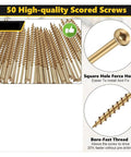 Wood Floor Repair Kit For Under Carpet Squeak No More With 5 Tools And 50 Screws showing high-quality scored screws with square hole.
