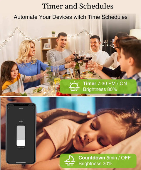 Smart Dimmer Switch That Jives With Alexa And Google Home, No Hub Needed, timer and schedule features, family setting