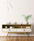 Mid-century modern sideboard with geometric pattern drawers, decorated with plants and ornaments in a minimalist room.