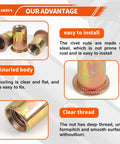 Complete Rivet Nut Kit With Five Hundred Ten Pieces SAE And Metric Galvanized Carbon Steel Flat Head Threaded Rivets product information
