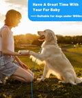 Person with golden retriever using Heavy Duty PVC Coated Steel Dog Tie Out Cable With Beefy Clips For Yard Use 10 15 20 25 30 50 Ft Options A Safe Outdoor Dog Runner For Large Dogs Up To 165 Lbs on grass at sunset.