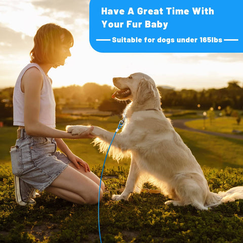 Person with golden retriever using Heavy Duty PVC Coated Steel Dog Tie Out Cable With Beefy Clips For Yard Use 10 15 20 25 30 50 Ft Options A Safe Outdoor Dog Runner For Large Dogs Up To 165 Lbs on grass at sunset.