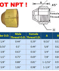 Brass Flare Cap Assortment Kit For SAE 45 Degree Flared Tube Fittings diagram and size chart, 1/4 to 5/8 inches.