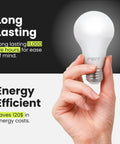 Hand holding A19 LED Light Bulbs 60W Equivalent Non Dimmable 800 Lumens E26 Standard Base 2700K Soft White 10 Year Lifetime