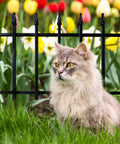 Rustproof Metal Garden Fence Panels 22 Inch Wide 18 Inch High Foldable Border Fence Set Of 5 with flowers and cat in garden.