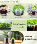 Guide showing uses of Clear Nursery Pots Set In 5 Inch 4 Inch And 3.5 Inch Sizes With Drainage Holes For Easy Transplanting Seedlings Cuttings And Succulents