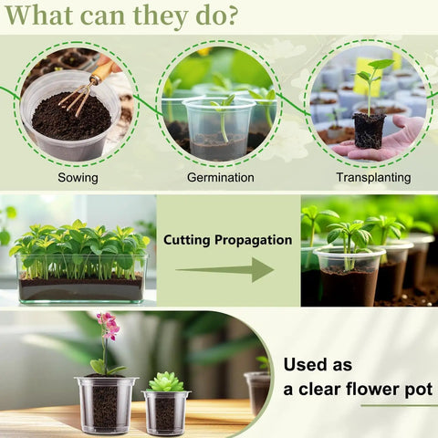 Guide showing uses of Clear Nursery Pots Set In 5 Inch 4 Inch And 3.5 Inch Sizes With Drainage Holes For Easy Transplanting Seedlings Cuttings And Succulents
