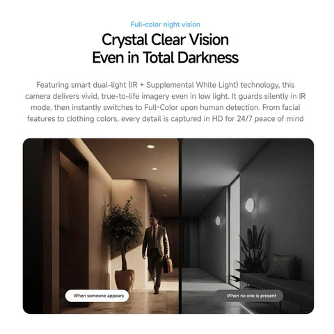 Bully Proof 2K Solar Security Camera With 5G WiFi And PTZ 360 Rotation showing full-color night vision in action.