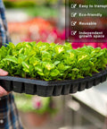 Person holding tray of seedlings in a Fifteen Pack Seed Starter Trays With 72 Cells Each 1080 Cells Total Plastic Seedling Trays Kit