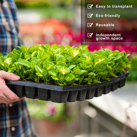 Person holding tray of seedlings in a Fifteen Pack Seed Starter Trays With 72 Cells Each 1080 Cells Total Plastic Seedling Trays Kit