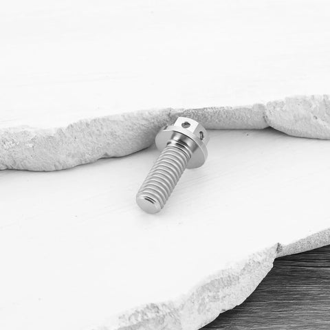 Two Pack M6x15mm Flanged Hex Head Bolts Titanium Fully Threaded Drilled Lock Wire Ready Ideal For Sports Bikes And Go Karts Silver Finish