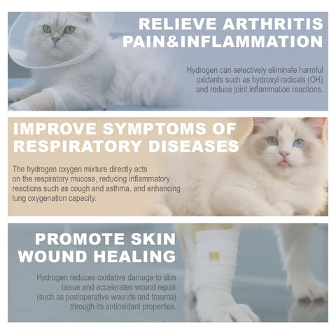 Pet Hydrogen Oxygen Inhalation Box For Cats And Dogs benefits for arthritis, respiratory diseases, and wound healing.