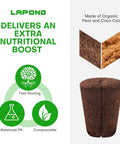 Pro Grade Grow Sponges Seed Starter Plugs for Cuttings with Organic Peat and Coco Coir promoting fast rooting and moisture retention.