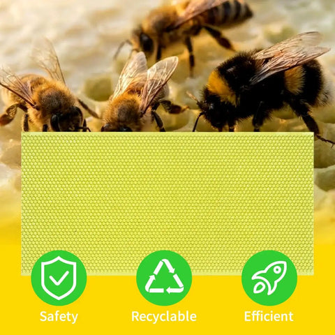 Bees on honeycomb with 20 Pack Waxed Coated Beehive Foundation Sheets For Beekeeping Five And Five Eighths Inch Plastic Honeycomb Frames