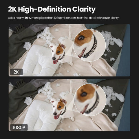 2K Indoor Outdoor Security Camera With Color Night Vision, AI Detection, magnetic mount, dog detail comparison.