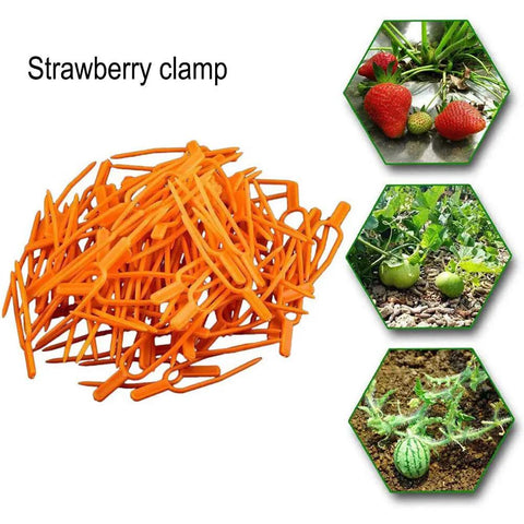 Set Of 100 Plastic Planting Forks For Strawberries And Grapevines, 65mm Grape Press, pile of orange vine supports, garden use