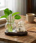 Dope Glass Propagation Station With Wood Display Vases For Water Rooting on wooden table, Nordic style desk planter