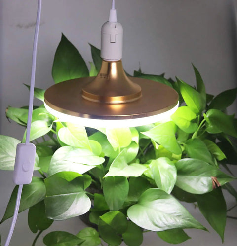 Pendant lighting with 2 Pack E26 E27 LED Light Socket With 5.9 Foot Extension Cord On Off Switch US Plug illuminating plant