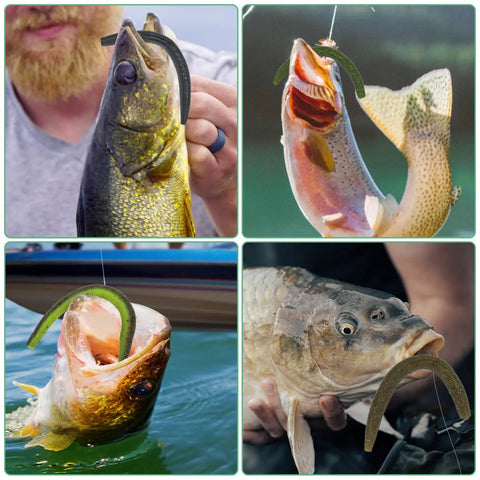 Fish caught using Bass Fishing Lure Kit With 30 Senko Worms In 5 Inch Size For Freshwater And Saltwater Tackle Box