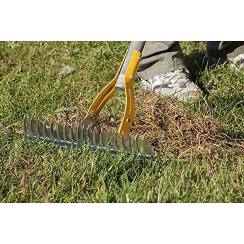Thatch Rake For Lawns With Curved Steel Tines 15 Inch Brown All In One Lawn Care Tool in use on grass.