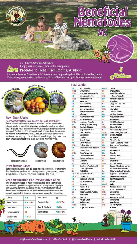 Informational poster on 50 Million Live Beneficial Nematodes For Flea And Fly Extermination, easy to use, safe for humans and pets.