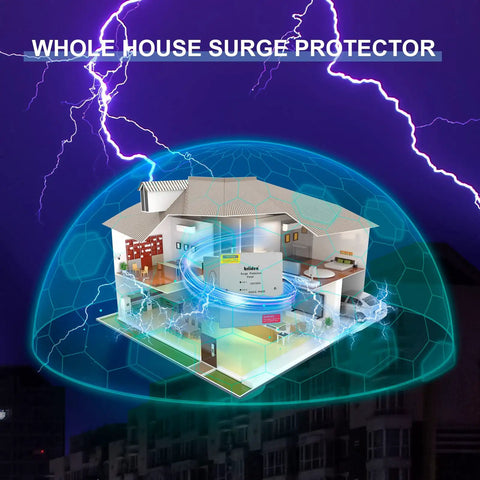 Illustration of house with Type 2 Whole Home Surge Protector For 120/240 Volt Panels, protected from lightning under an energy dome
