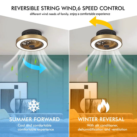 Enclosed Low Profile Ceiling Fan With Light In Modern Gold showing reversible airflow for summer and winter modes in living room.