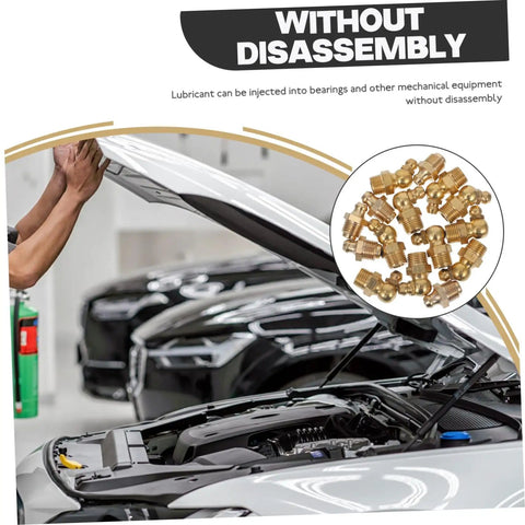 Brass Grease Fitting Kit One Set With Straight And Angled Zerk Nozzles For Automotive And Industrial Use Storage Box Included next to open car hood