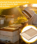 Beekeeper inspecting hive with two pack ten frame beehive slatted rack kit for beekeepers, pro grade durable pine wood frames inset