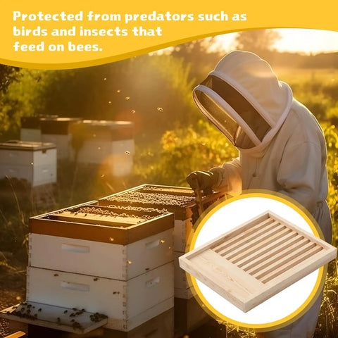 Beekeeper inspecting hive with two pack ten frame beehive slatted rack kit for beekeepers, pro grade durable pine wood frames inset