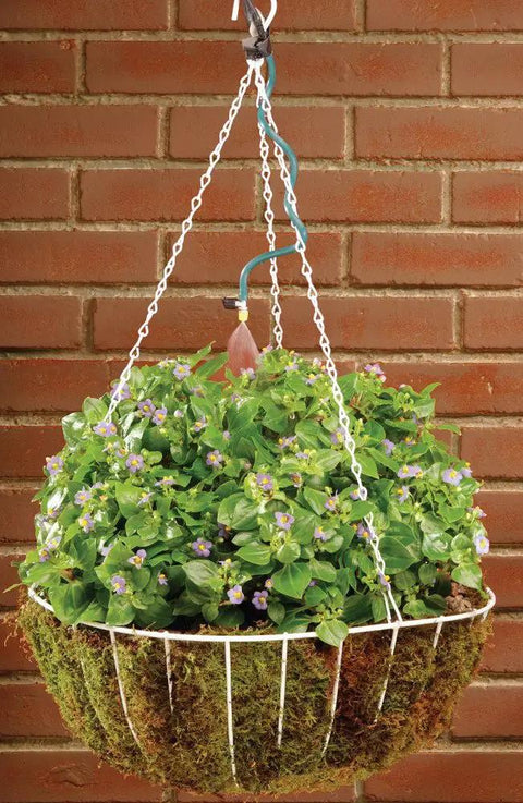 Hanging Basket Drip Irrigation Kit With 1 Outlet Digital Hose Faucet Sprinkler Timer watering a hanging plant.