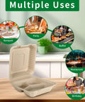 100 Pack 3-Compartment Compostable Takeout Lunch Boxes With Lids 8x9 Inch Clamshells For Food To Go Eco Friendly Bagasse PFAS Free