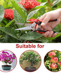 Workhorse Pruning Shears With Stainless Steel Blades And Ergonomic Non Slip Handles For Sharp Fast Cuts on plants