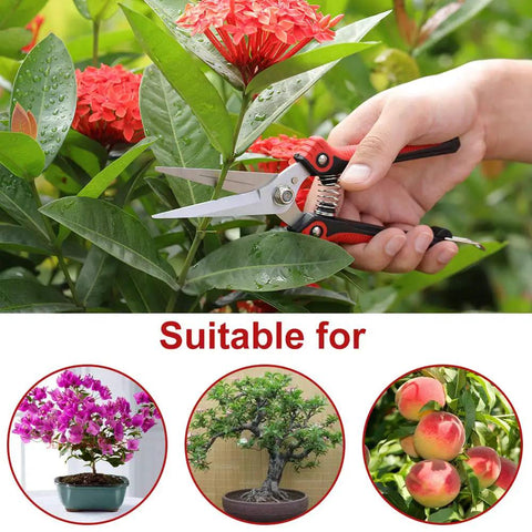 Workhorse Pruning Shears With Stainless Steel Blades And Ergonomic Non Slip Handles For Sharp Fast Cuts on plants