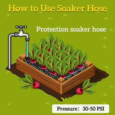 Illustration of Flat Soaker Hose 50 Ft With Stake for Garden Beds Drip Irrigation Hose Heavy Duty Water Saver in raised garden bed