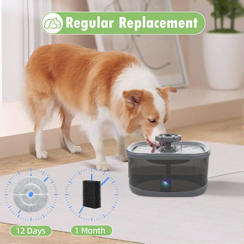 Dog drinking from fountain using 12 Pack 7 Inch Activated Carbon Filters For Dog Water Fountains Replacement Ready For 2.5 Gallon 9.5 Liter Models And Kastty 9L Large Dog Fountains Plus 12 Pack Sponges.