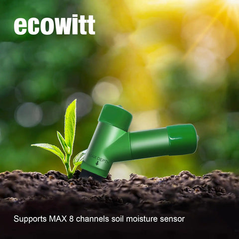 Soil Moisture Tester Kit With 915 MHz GW1200 IoT WiFi Gateway And WH51 Sensor for backyard growers placed in soil