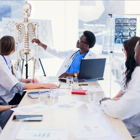 Doctors studying Life Size Human Skeleton Model For Anatomy With Nervous System And Rolling Stand 70.8 Inch Medical Skeleton
