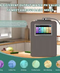 Top Tier Alkaline Water Ionizer Machine With Eight Titanium Plates For Crisp Daily Sips And Quick Cleanse PH Ranges From Point Two Five Up To 112, showing countertop setup with touchscreen.