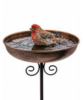 Durable Metal Bird Bath With Stake, 10 Inch Diameter Bowl, 0.4 Gallon Capacity, Outdoor Garden Yard Lawn Decor with bird