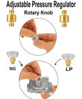 1/2-inch gas pressure regulator with NG/LP conversion adapters; two brass 1/2" NPT fittings shown.